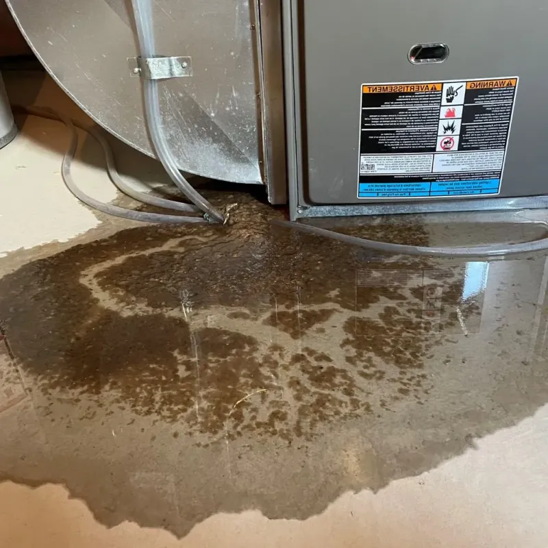 Pipe Burst and Leak Restoration in Carlisle County, KY