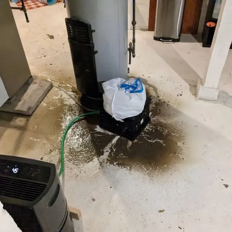 Sewage Backup Cleanup Service in Carlisle County, KY